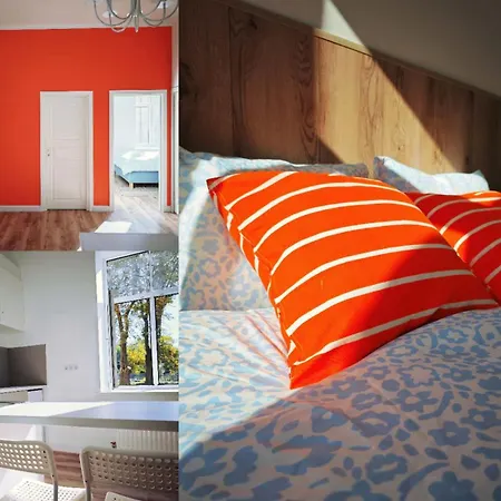 Homecoming Homestay