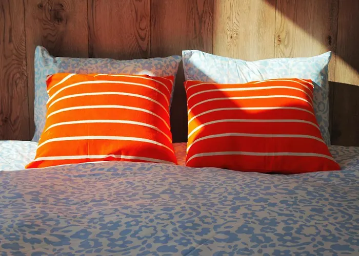 홈스테이 Homecoming 리가